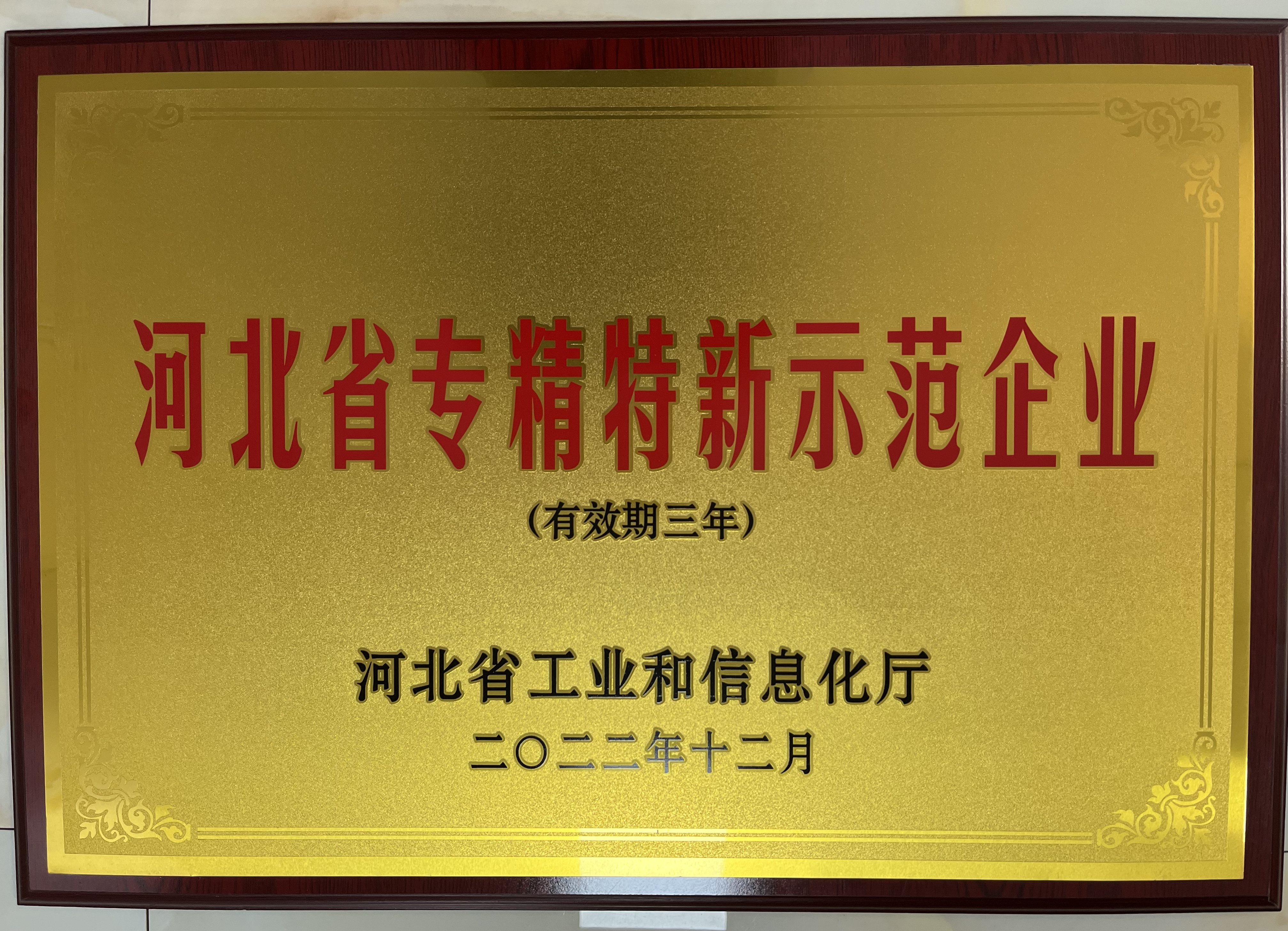 河北美星：入選2022年河北省專(zhuān)精特新示范企業(yè)